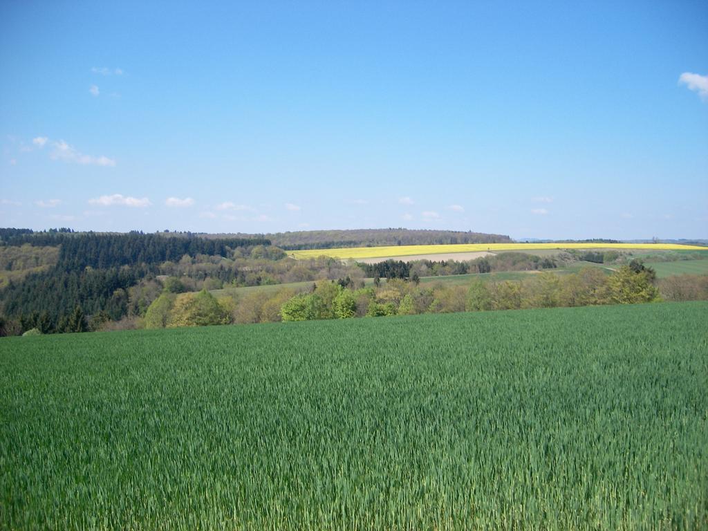 Landhaus Бад Бертрих Екстериор снимка